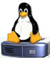 MiniServ Linux (ANUAL)