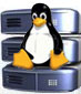 StarterServ Linux (ANUAL)